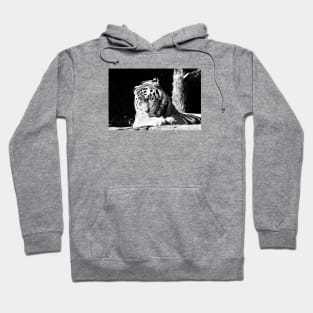 Year of the tiger 2022 / 4 /  Swiss Artwork Photography Hoodie